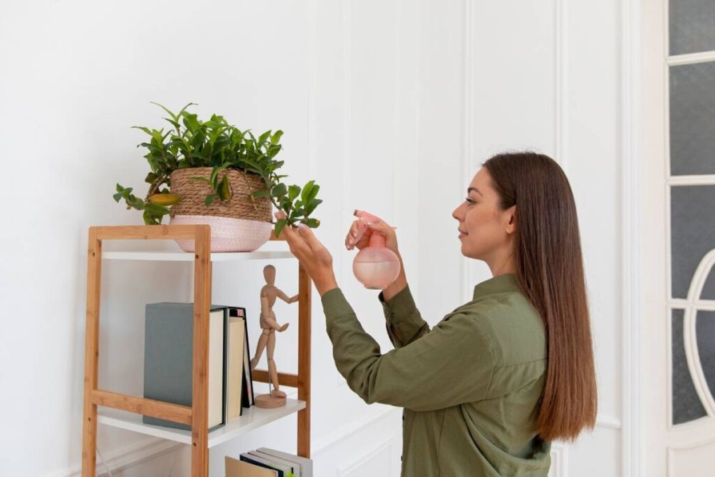 A person sprays water onto a green plant in a woven basket atop a wooden shelf, surrounded by books and a wooden figure.