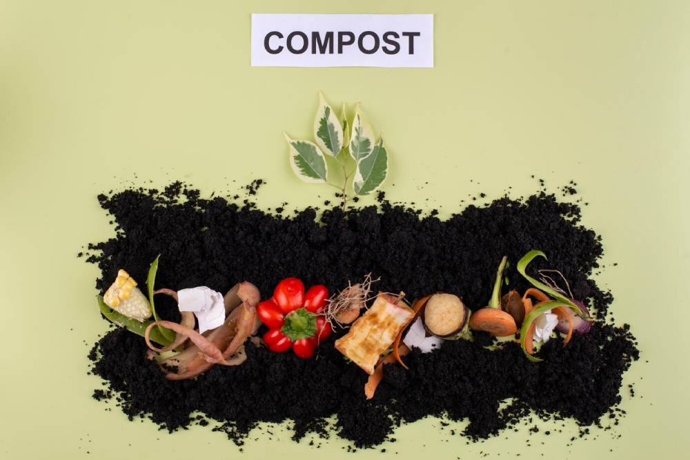 A compost layout on a green background, featuring food scraps and leaves, with a label reading 